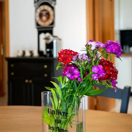 Dimora Loris Prázdninový dům Alberobello